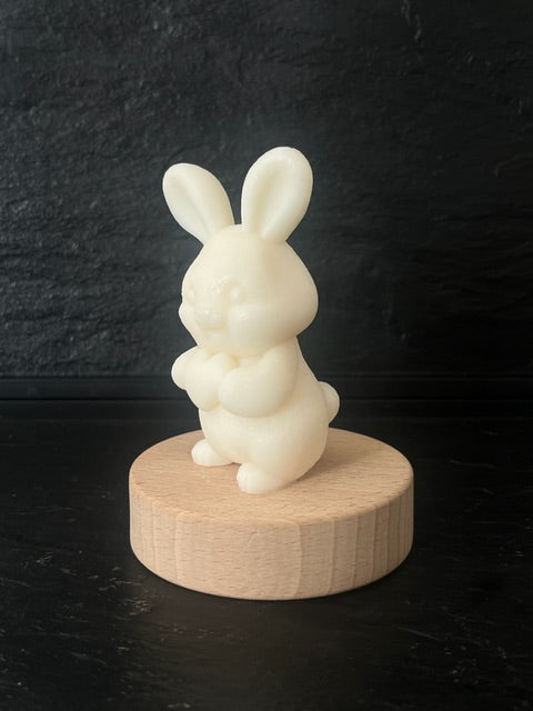 Bougie lapin coeur