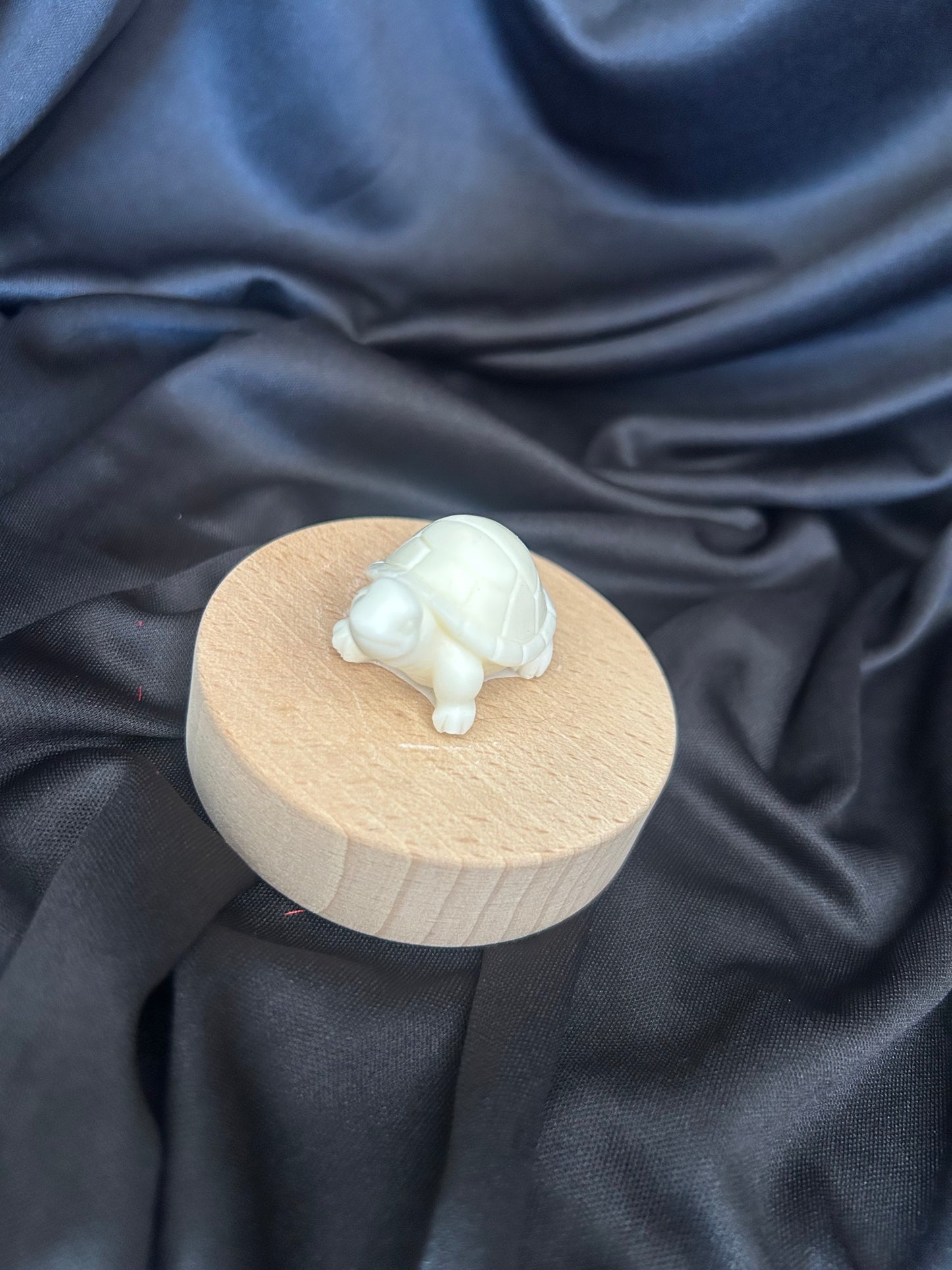 Fondant Tortue