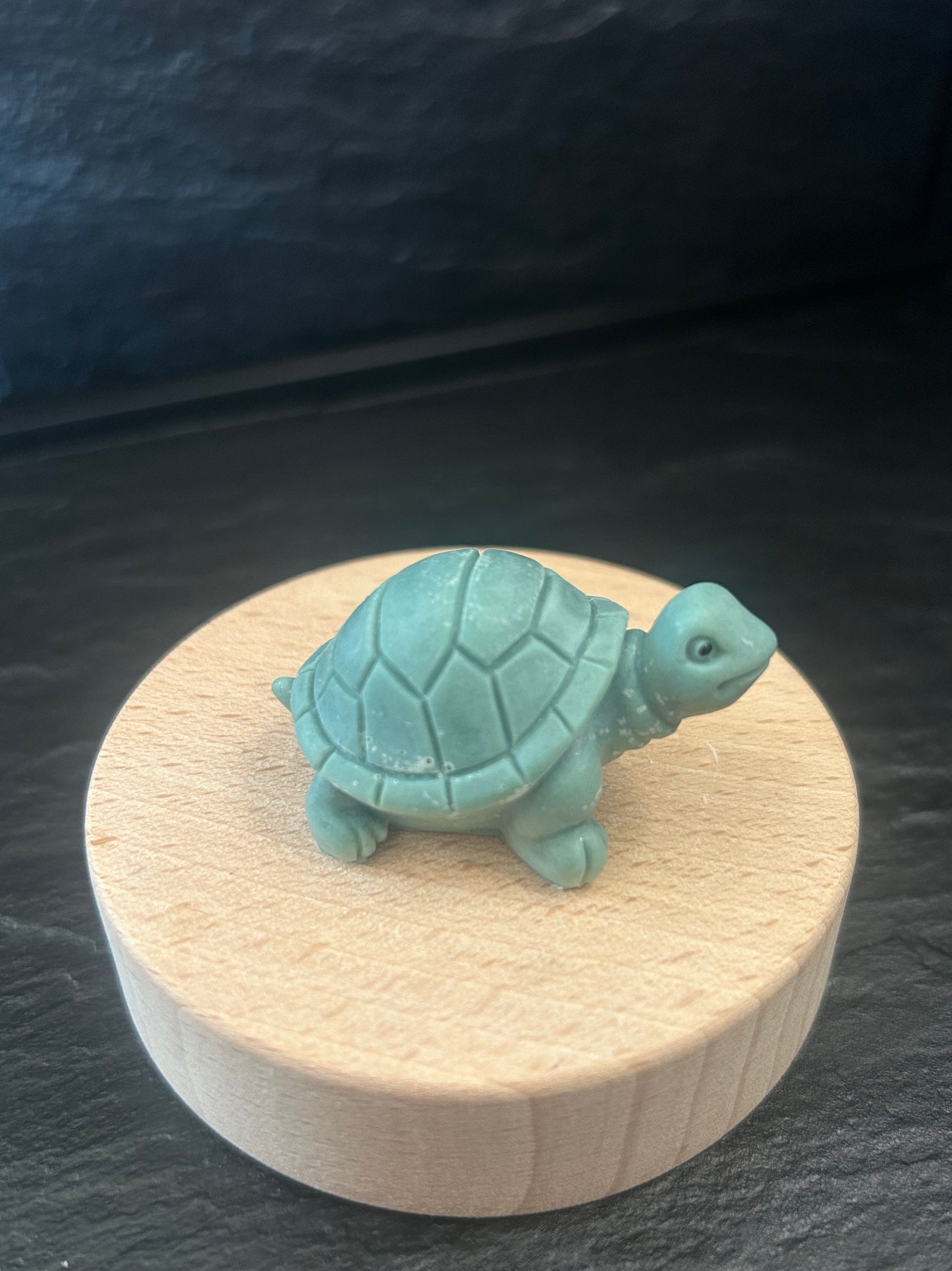 Fondant Tortue