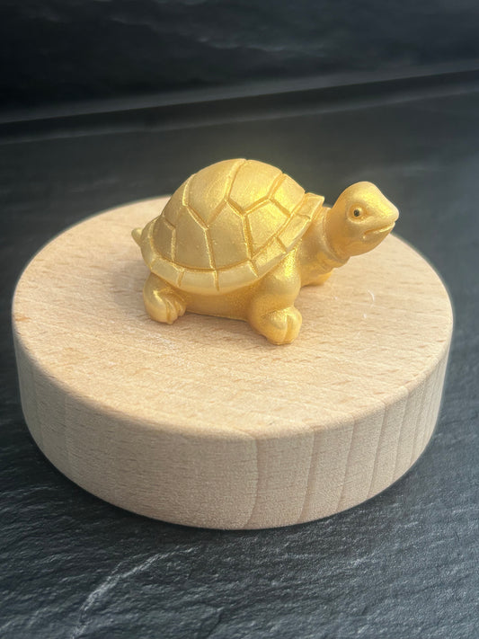 Fondant Tortue