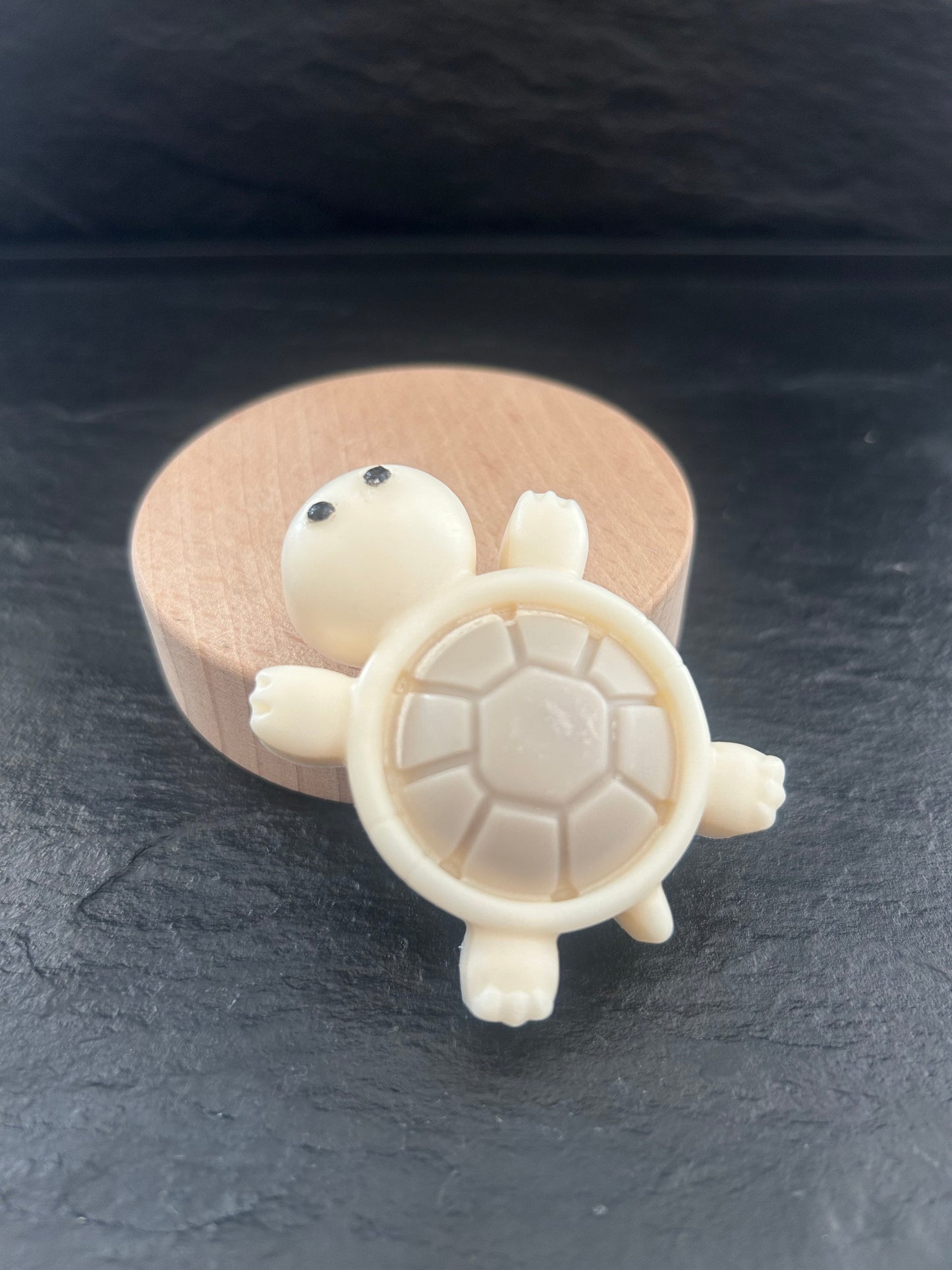 Fondant Tortue